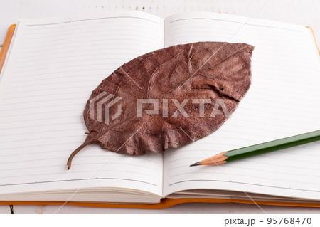 押し花とノート 95768470