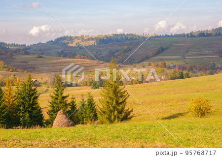 mountainous countryside landscape in autumn. rural fields and pastures among forested hills in dappled light. warm autumn weather. concept of sustainable living in carpathian region 95768717