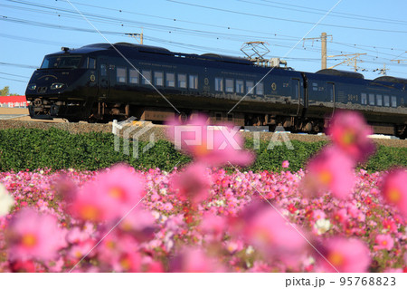 満開のコスモスと観光列車「36ぷらす3」（JR九州） 95768823