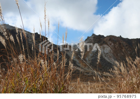 大分県九重連山に登山旅 ススキと久住山 大分県九重連山に登山旅 ススキと久住山 95768975