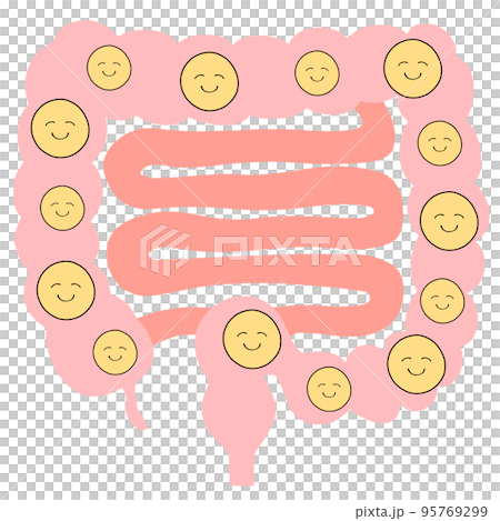 Full of good bacteria Illustration of large intestine and small intestine 95769299