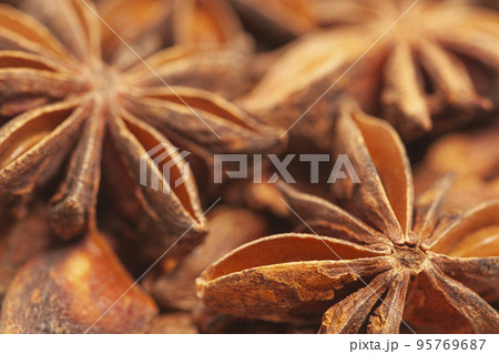 Star anises dried spice fruits 95769687