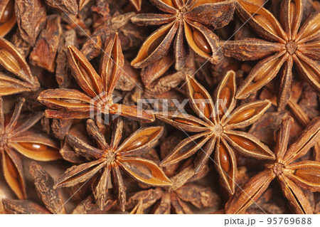 Star anises dried spice fruits 95769688