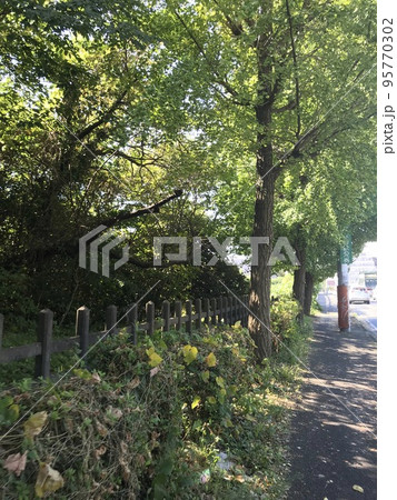 Urban street in Yokohama 95770302