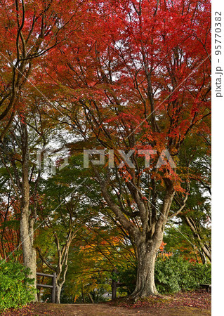 王地山展望台より 95770382