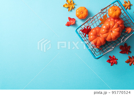 秋 あき 秋の 95770524