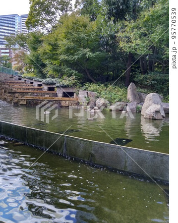 池・せせらぎのある庭園 95770539