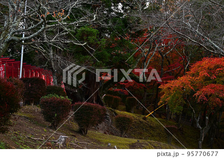 王地山まけきらい稲荷より 王地山まけきらい稲荷より 95770677