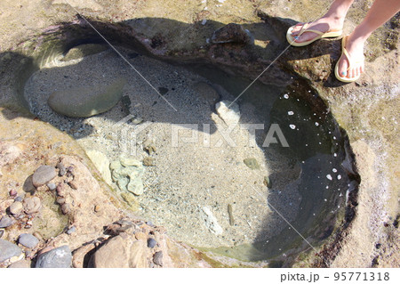 奄美大島 95771318