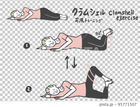 clamshell training 95771507