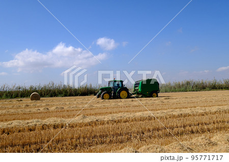 making bales tractor working in rice harvest season making bales tractor working in rice harvest season 95771717