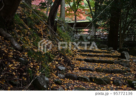 竹谷山渓谷の紅葉 竹谷山渓谷の紅葉 95772136