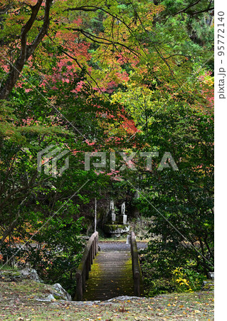 竹谷山渓谷の紅葉 95772140