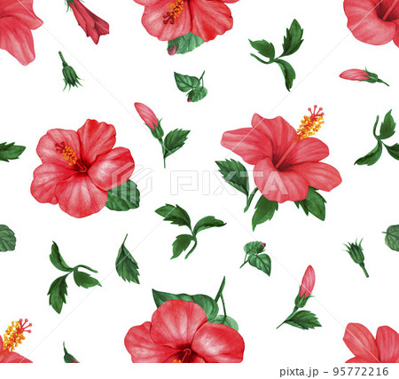 Tropical floral foliage hibiscus, leaves and budsflower seamless pattern background. Exotic jungle wallpaper. Hand drawn watercolor on white background. Perfect for invitation, greeting cards Tropical floral foliage hibiscus, leaves and budsflower seamless pattern background. Exotic jungle wallpaper. Hand drawn watercolor on white background. Perfect for invitation, greeting cards 95772216