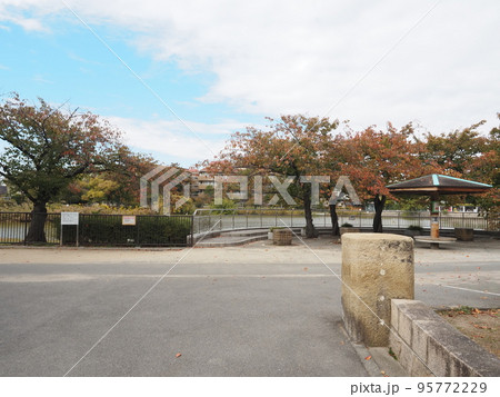 秋の万代池公園 95772229