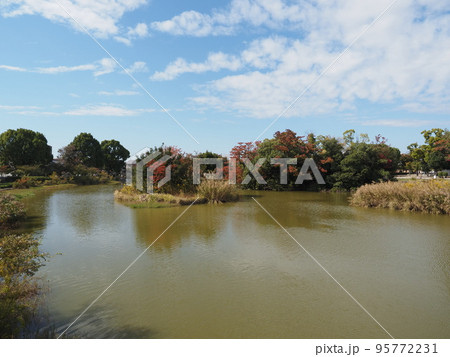 秋の万代池公園 95772231