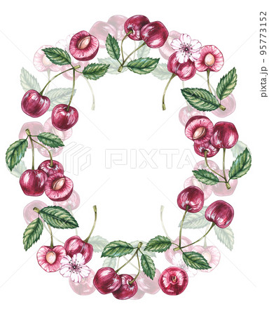 Watercolor cherry frame on a white background Watercolor cherry frame on a white background 95773152