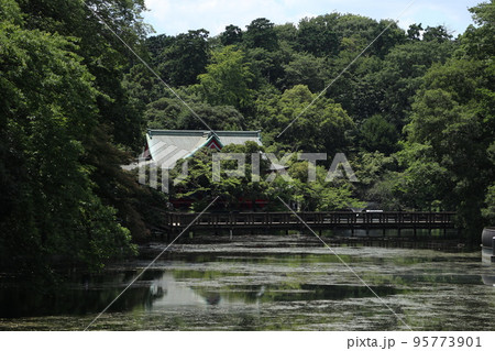 東京 井の頭恩賜公園 95773901