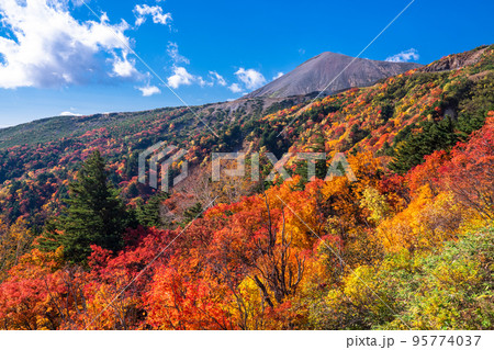 《福島県》天狗の庭・磐梯吾妻スカイライン《紅葉最盛期》 95774037