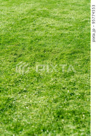 背景素材　人工芝 95774553