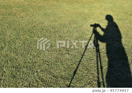 動画撮影　シルエット 95774937