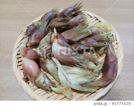 ざるに盛られた新鮮なミョウガ 95775329