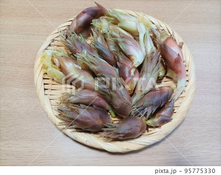 ざるに盛られた新鮮なミョウガ 95775330