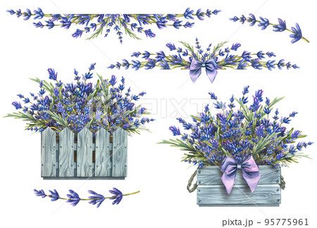 Set with lavender flowers, compositions, bouquet. Watercolor illustration from the LAVENDER SPA collection. For decoration and design in the style of Provence Set with lavender flowers, compositions, bouquet. Watercolor illustration from the LAVENDER SPA collection. For decoration and design in the style of Provence 95775961