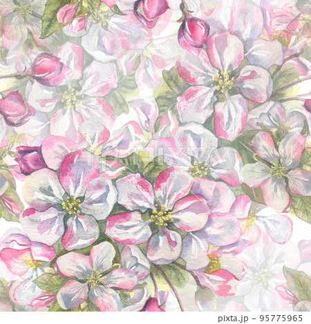 Watercolor, seamless pattern of apple, pink flowers on a white background. Spring, gentle, cute illustration for the decoration and design of fabric, textiles, wallpaper, wrapping paper, cover. Watercolor, seamless pattern of apple, pink flowers on a white background. Spring, gentle, cute illustration for the decoration and design of fabric, textiles, wallpaper, wrapping paper, cover. 95775965