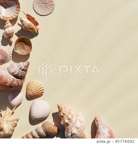 Seashells on the white sand beach background with copy space. Nature and marine concept. 3D illustration rendering 95776092