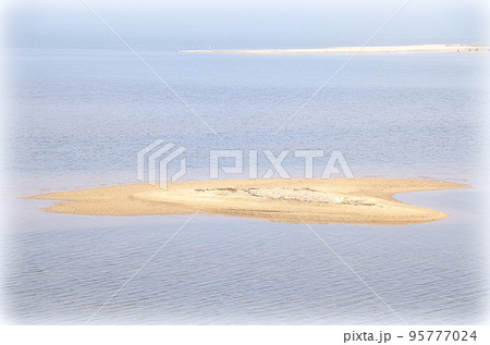 濃い霧が出ている中海の朝の風景（イラスト風） 95777024