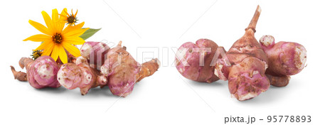 Jerusalem artichoke isolated on a white background. 95778893