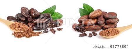 peeled cocoa bean with leaf and cocoa powder in wooden spoon isolated on white background 95778894