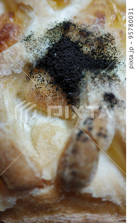 Black mold on the bakery product. Stale bread. Aspergillus niger mold close-up macro Black mold on the bakery product. Stale bread. Aspergillus niger mold close-up macro 95780031