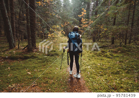 Young woman backpacker with hiking poles goes through the forest, rear view Young woman backpacker with hiking poles goes through the forest, rear view 95781439