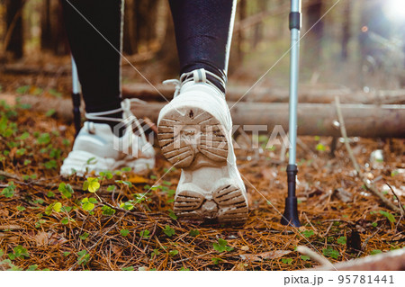 Young girl hiker with hiking poles goes through the forest, rear view Young girl hiker with hiking poles goes through the forest, rear view 95781441