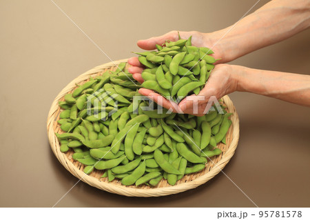 黒埼茶豆 95781578