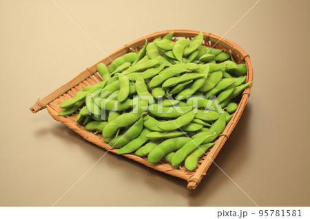 黒埼茶豆 黒埼茶豆 95781581