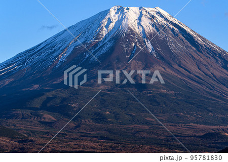 秋の情景・雪化粧した富士山クローズアップ 秋の情景・雪化粧した富士山クローズアップ 95781830