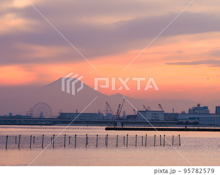11月の船橋三番瀬から見た夕日に映える富士山 95782579