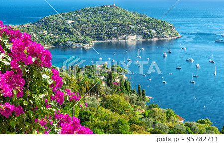 Summer holidays background rhododendron flowers Mediterranean sea Summer holidays background rhododendron flowers Mediterranean sea 95782711