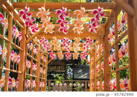 秋の熊野神社(熊野大社)の風景 秋の風花(かざはな) 山形県南陽市 秋の熊野神社(熊野大社)の風景 秋の風花(かざはな) 山形県南陽市 95782990