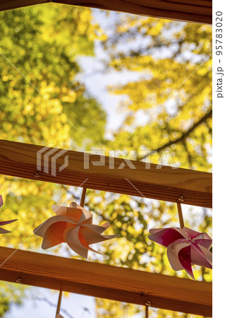 秋の熊野神社(熊野大社)の風景 秋の風花(かざはな) 山形県南陽市 秋の熊野神社(熊野大社)の風景 秋の風花(かざはな) 山形県南陽市 95783020