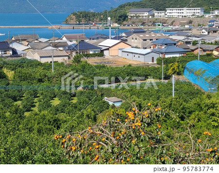 片側(かたそば)港付近の風景 片側(かたそば)港付近の風景 95783774