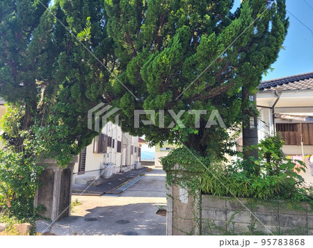 片側かたそば港付近の風景 (片側小学校閉校跡地) 片側かたそば港付近の風景 (片側小学校閉校跡地) 95783868