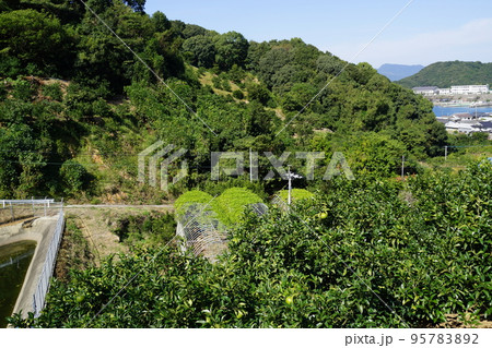 片側かたそば港付近の風景　カーフェリー 95783892