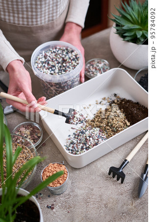 soil substrate preparation for transplanting houseplants on concrete background 95784092