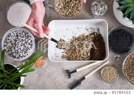 soil substrate preparation for transplanting houseplants on concrete background soil substrate preparation for transplanting houseplants on concrete background 95784103