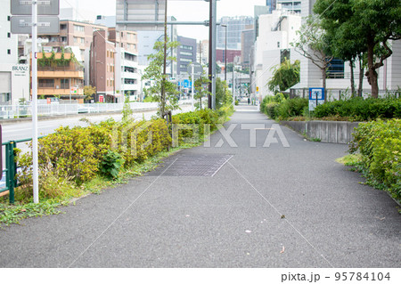 大久保通り/東京都新宿区 大久保通り/東京都新宿区 95784104