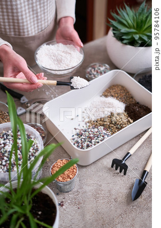 soil substrate preparation for transplanting houseplants on concrete background soil substrate preparation for transplanting houseplants on concrete background 95784106
